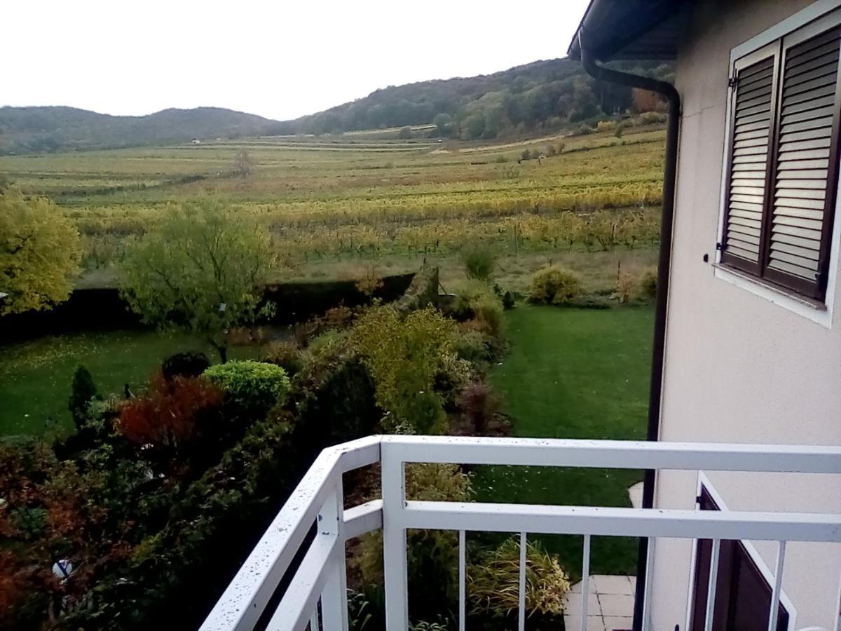 Top Over Vienna, Perchtoldsdorf Weinberge Ideal With Car Apartment Exterior photo