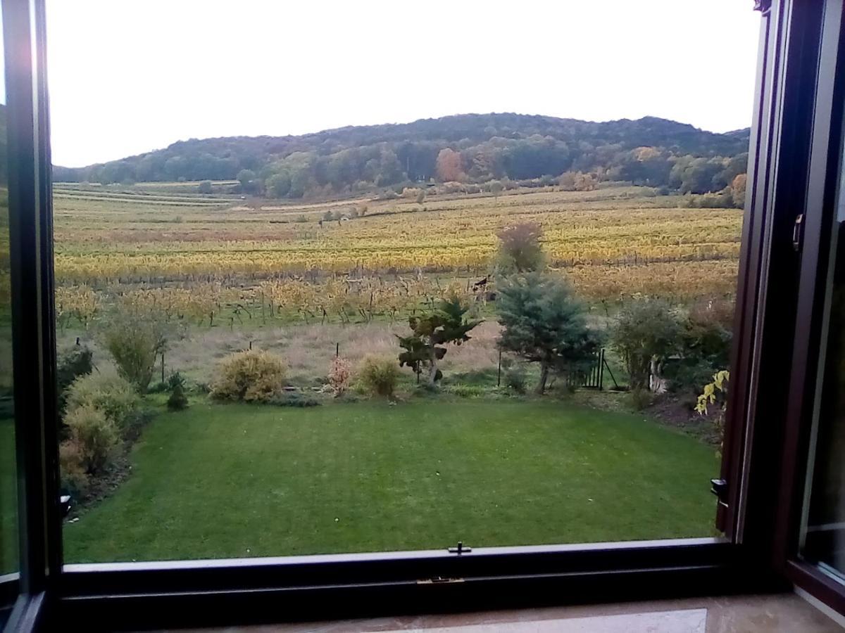 Top Over Vienna, Perchtoldsdorf Weinberge Ideal With Car Apartment Exterior photo