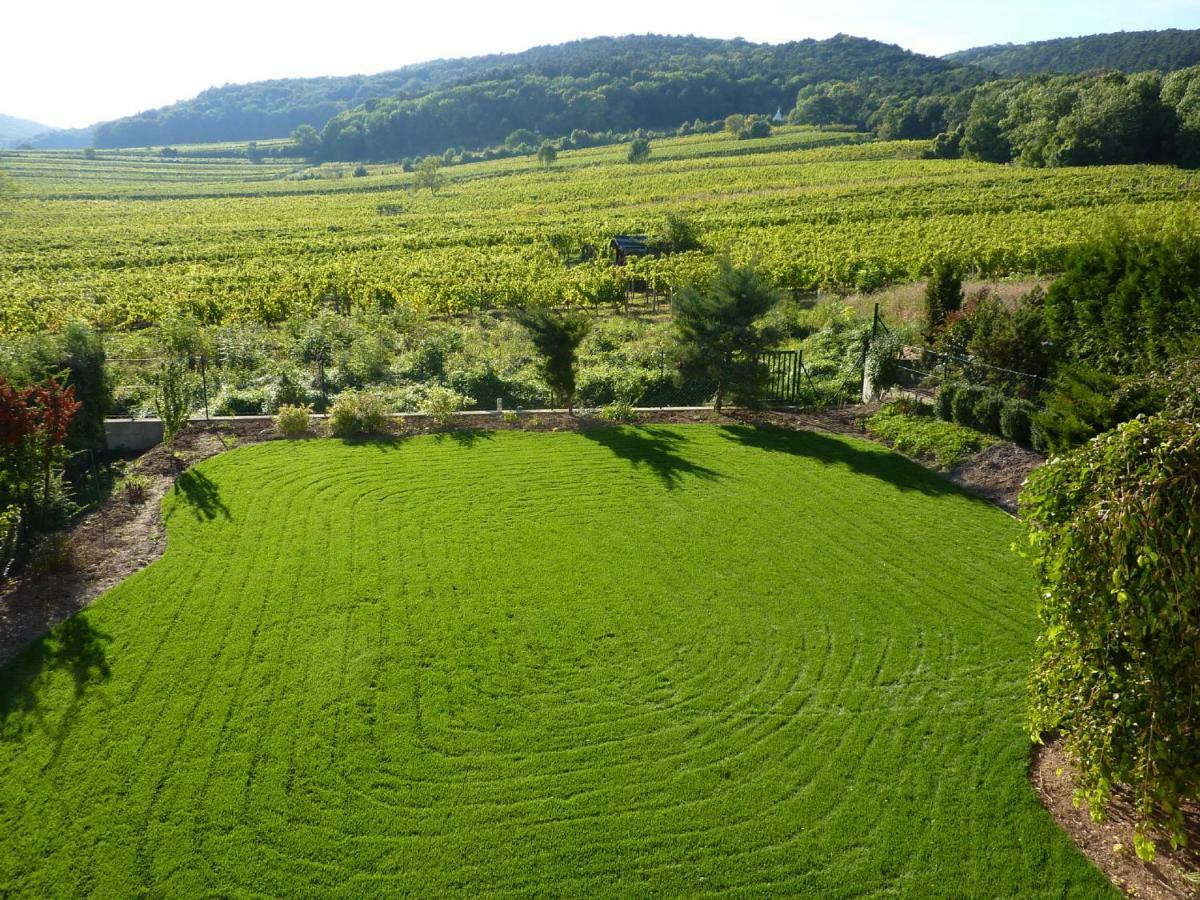 Top Over Vienna, Perchtoldsdorf Weinberge Ideal With Car Apartment Exterior photo