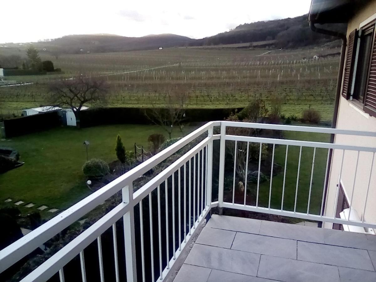 Top Over Vienna, Perchtoldsdorf Weinberge Ideal With Car Apartment Exterior photo